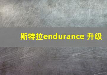 斯特拉endurance 升级